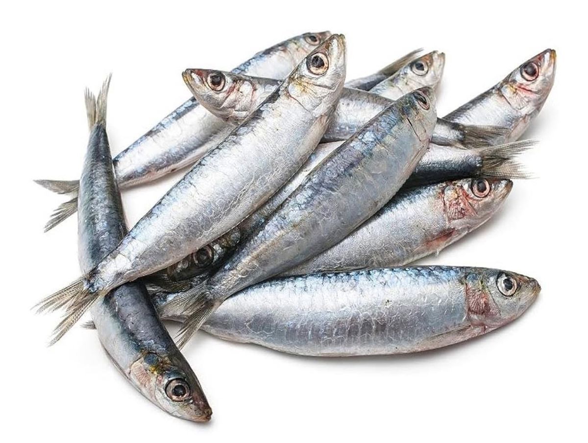 Fish
